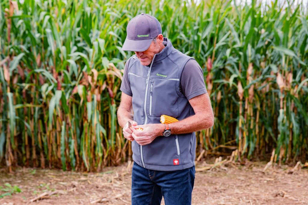 farmpartner prüft Maiskolben im Maisfeld