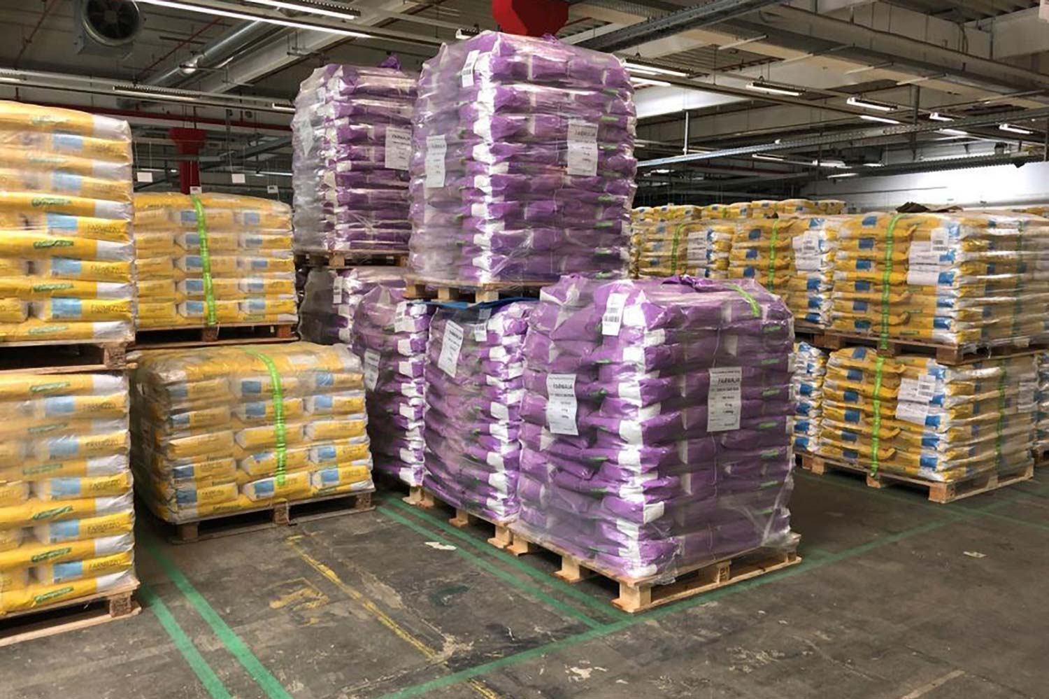Bunte Saatgutsäcke stapeln sich auf Paletten