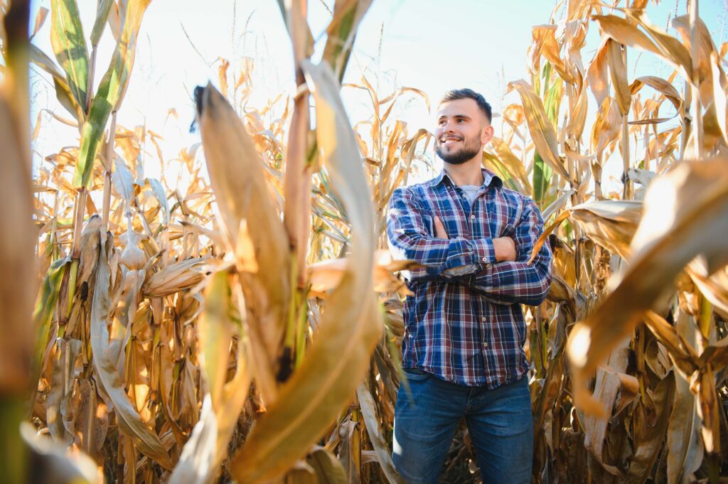 Mann steht in einem Maisfeld