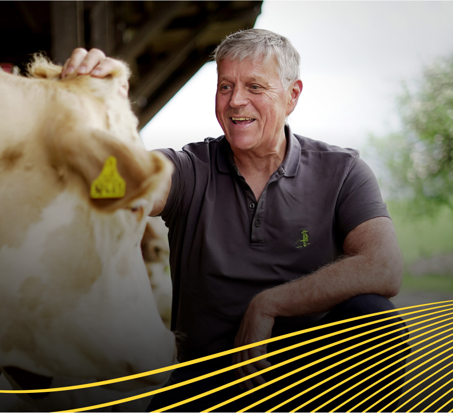 Ein mann streichelt eine Kuh