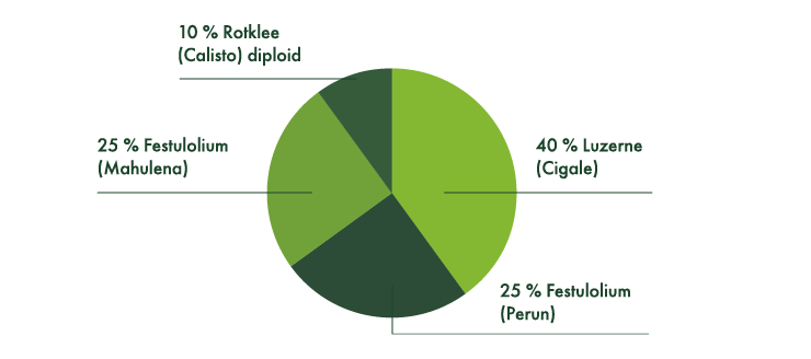 10% Rotklee (Calisto) diploid, 25% Festulolium (Mahulena), 40% Luzerne (Cigale), 25% Festulolium (Perun).