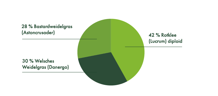 28% Bastardweidelgras (Astoncrusader), 42% Rotklee (Lucrum) diploid, 30% Welsches Weidelgras (Danegro).