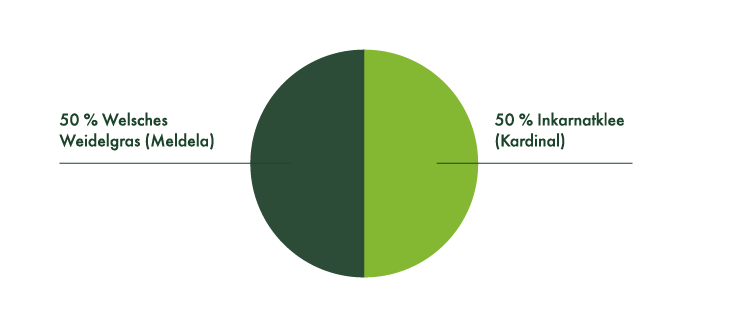 50% Welsches Weidelgras (Meldela), 50% Inkarnatklee (Kardinal).