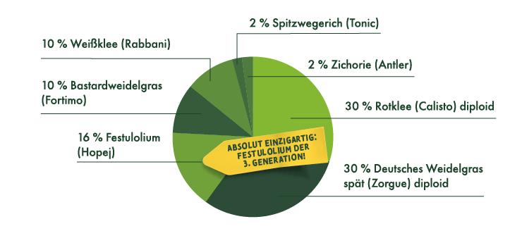 10% Weißklee (Rabbani), 10% Bastardweidelgras (Fortimo), 16 % Festulolium (Hopej), 2% Spitzwegerich (Tonic), 2% Zichorie (Antler), 30% Rotklee (Calisto) diploid, 30% Deutsches Weidelgras spät (Zorgue) diploid. Absolut einzigartig: Festulolium der 3. Generation.