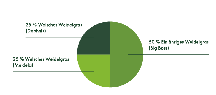 25 % Welsches Weidelgras (Daphnis), 25 % Welsches Weidelgras (Meldela), 50 % Einjähriges Weidelgras (Big Boss).