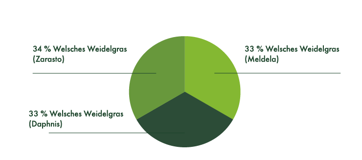 34 % Welsches Weidelgras (Zarasto), 33 % Welsches Weidelgras (Meldela), 33 % Welsches Weidelgras (Daphnis).