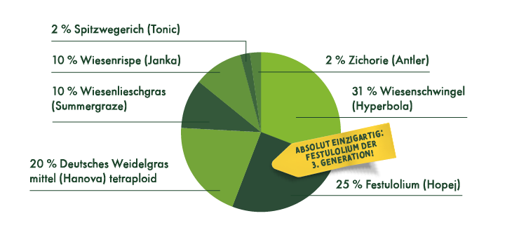 2 % Spitzwegerich (Tonic), 10 % Wiesenrispe (Janka), 10 & Wiesenlieschgras (Summergraze), 20 % Deutsches Weidelgras mittel (Hanova) tetraploid, 2 % Zichorie (Antler), 31 % Wiesenschwingel (Hyperbola), 25 % Festulolium (Hopej).