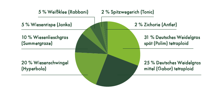 5 % Weißklee (Rabbani), 5 % Wiesenrispe (Janka), 10& Wiesenlieschgras (Summergraze), 20% Wisenschwingel (Hyperbola), 2% Spitzwegerich (Tonic), 2 % Zichorie (Antler), 31 % Deutsches Weidelgras spät (Polim) tetraploid, 25 % Deutsches Weidelgras mittel (Gabor) tetraploid.