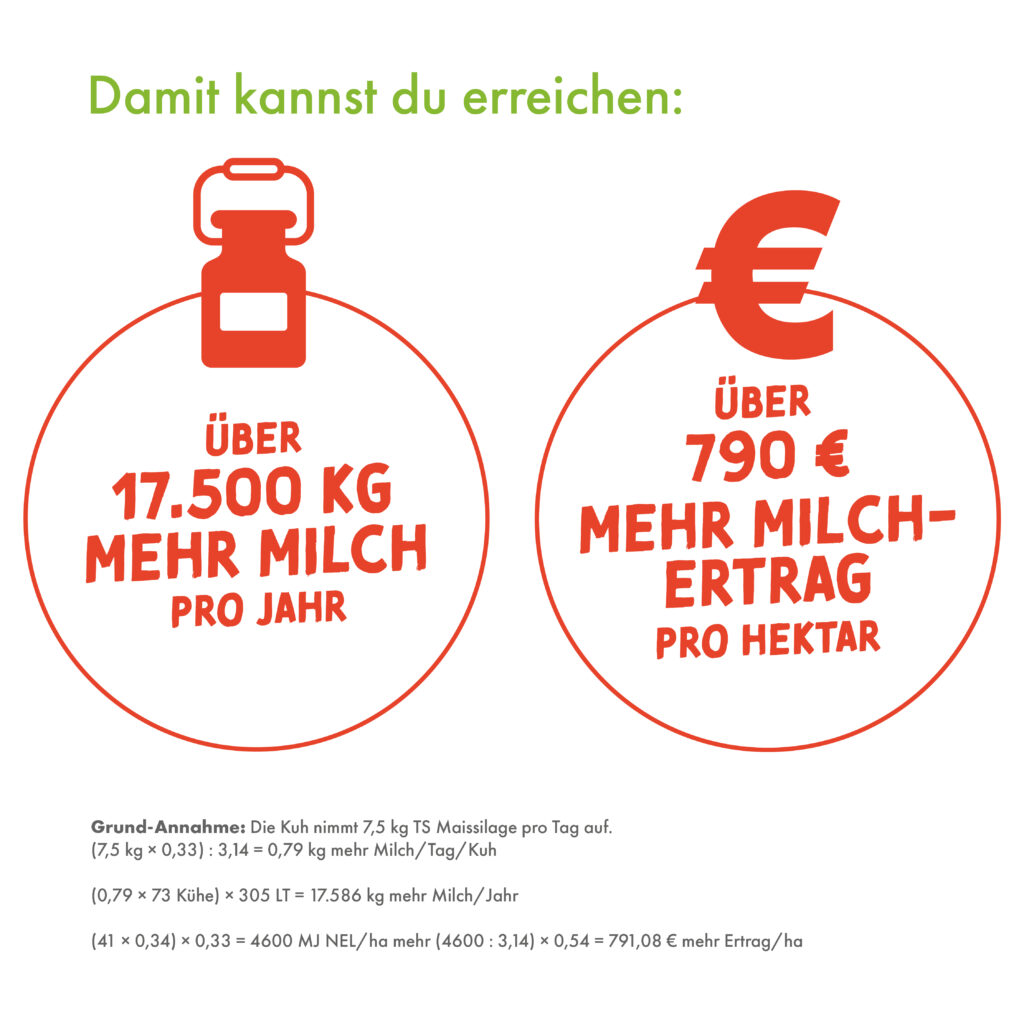 über 17.500 KG mehr Milch pro Jahr, über 790 Euro mehr Milchertrag pro Hektar. Grund-Annahme: Die Kuh nimmt 7,5 kg TS Maissilage pro Tag auf.
(7,5 kg x 0,33) : 3,14 = 0,79 kg mehr Milch/Tag/Kuh. (0,79 × 73 Kühe) × 305 LT = 17.586 kg mehr Milch/ Jahr |
(41 × 0,34) × 0,33 = 4600 MJ NEL/ha mehr (4600 : 3,14) × 0,54 = 791,08 € mehr Ertrag/ha.
