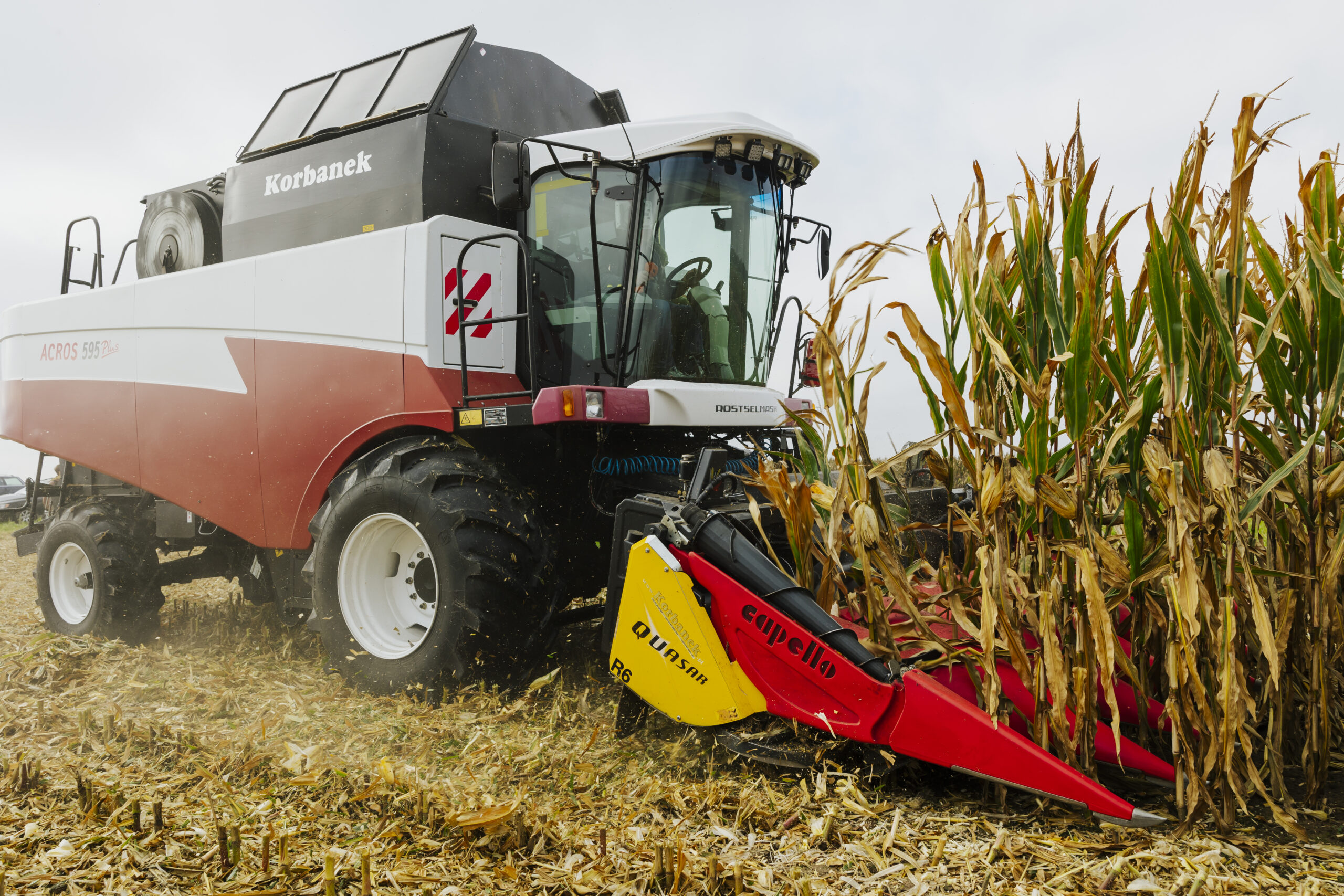 Wärmesummen beim Mais