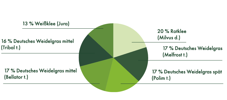 13 % Weißklee (Jura), 20% Rotklee (Milvus d.), 16% Deutsches Weidelgras mittel (Tribal t.), 17% Deutsches Weidelgras mittel (Bellator t.), 17 % Deutsches Weidelgras (Melfrost t.), 17% Deutsches Weidelgras spät (Polim t.)
